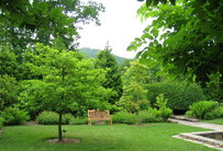 The North Carolina Arboretum (Tag 4-5)