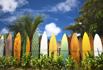 Maui, das Surfmekka (Tag 12-16)